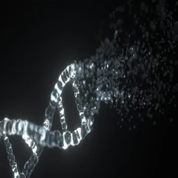 Dr. Robert Malone | Lies My Government Told Me, The Medical Industrial Complex, & The Transhumanist Plan