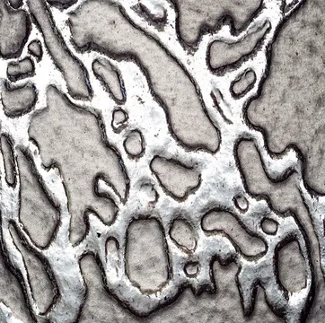 Forrest Maready |  The Moth In The Iron Lung, Metallic Medicine, & Industrial Chemicals