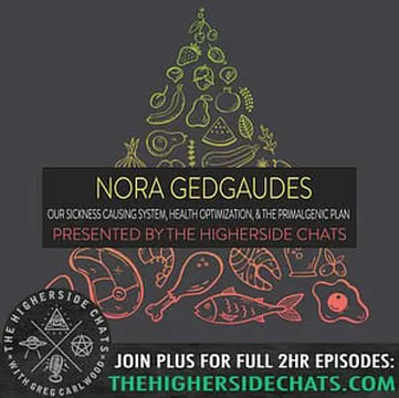 Nora Gedgaudas | Our Sickness Causing System, Health Optimization, & The Primalgenic Plan