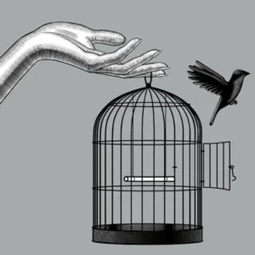 Derrick Broze | The Conscious Agora, Sovereignty Solutions, & Freedom Resources
