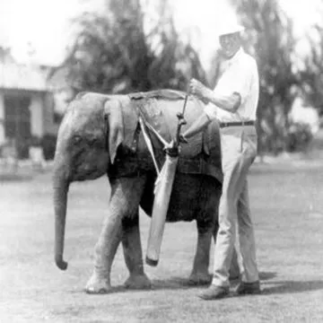 Dr. Narco Longo | Old World Florida: Lost History, Mystery, Elephants, & Oranges cover