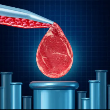 Dr. Frédéric Leroy | The Food Control Cult, Anti-Meat Elite, & The Frankenfood Industrial Complex